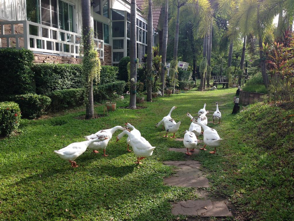 Watermill Resort Nong Nam Daeng Extérieur photo